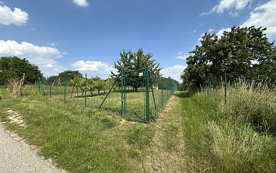 Zahrada Mikulov 2061